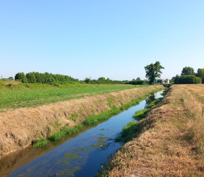 Albignasego: al via a ottobre i lavori di ripristino delle sponde dello scolo Ca’ Manzoni