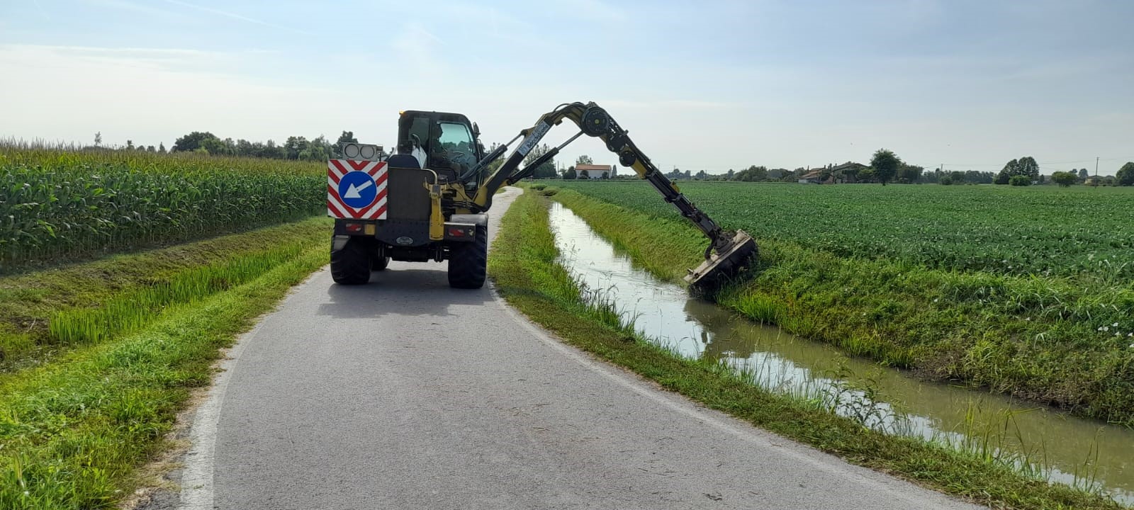 West Nile: sfalcio straordinario del Consorzio Bacchiglione per limitare la diffusione del virus